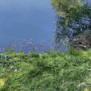 Lunettes hyper polarisées pour la pêche